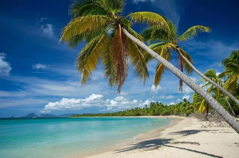 Maliann, T2+ A 5 Min De La Plage Sainte-Anne Martinique