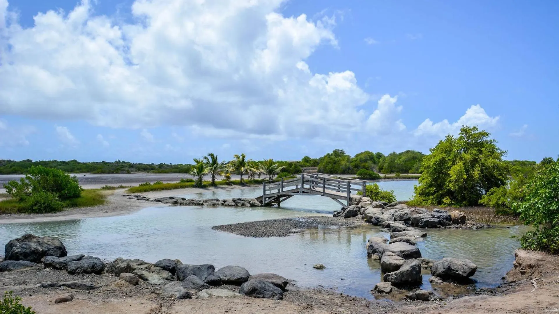 Apartment Maliann, T2+ A 5 Min De La Plage Sainte-Anne